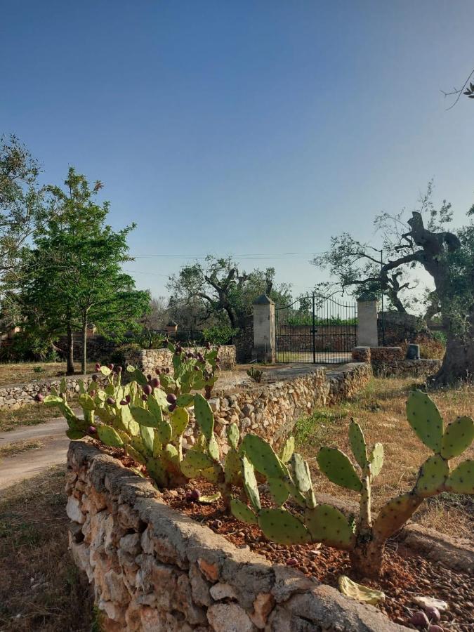 La Petraia Villa Magliano Buitenkant foto