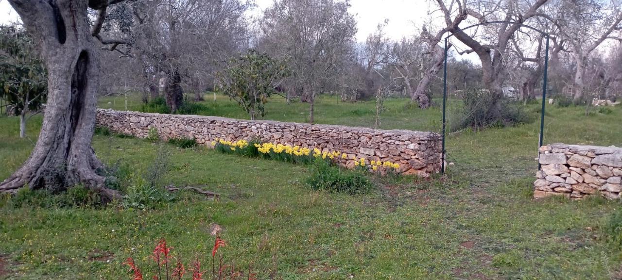 La Petraia Villa Magliano Buitenkant foto
