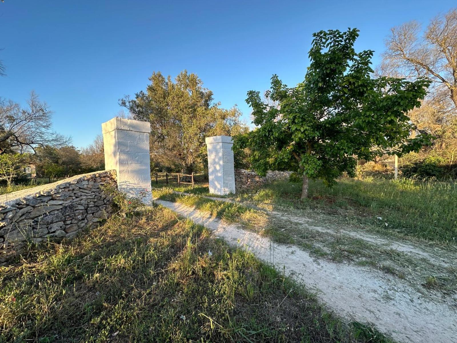 La Petraia Villa Magliano Buitenkant foto