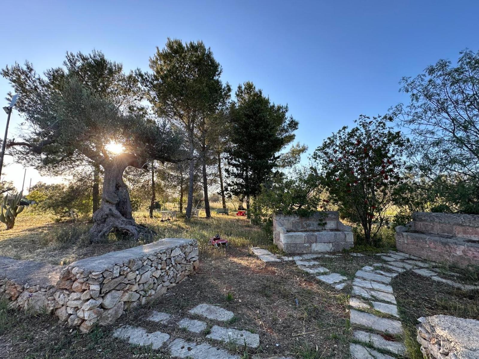 La Petraia Villa Magliano Buitenkant foto