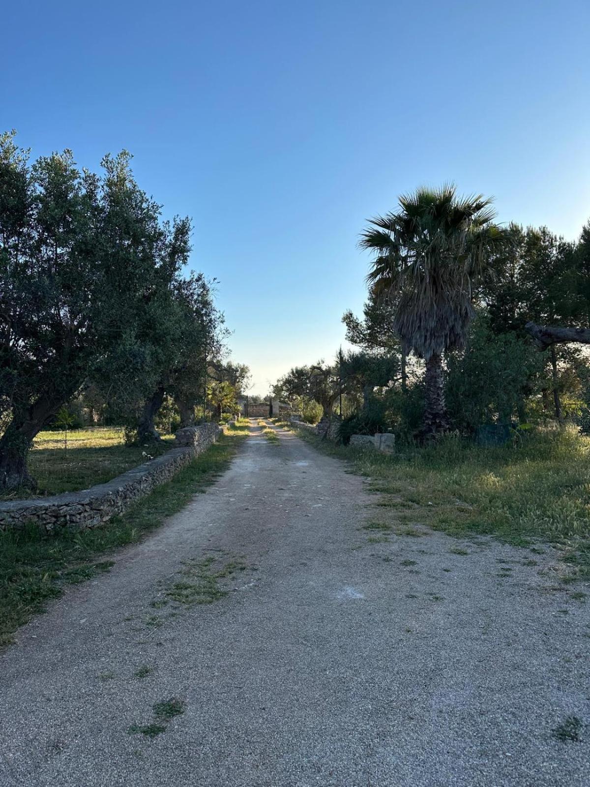 La Petraia Villa Magliano Buitenkant foto