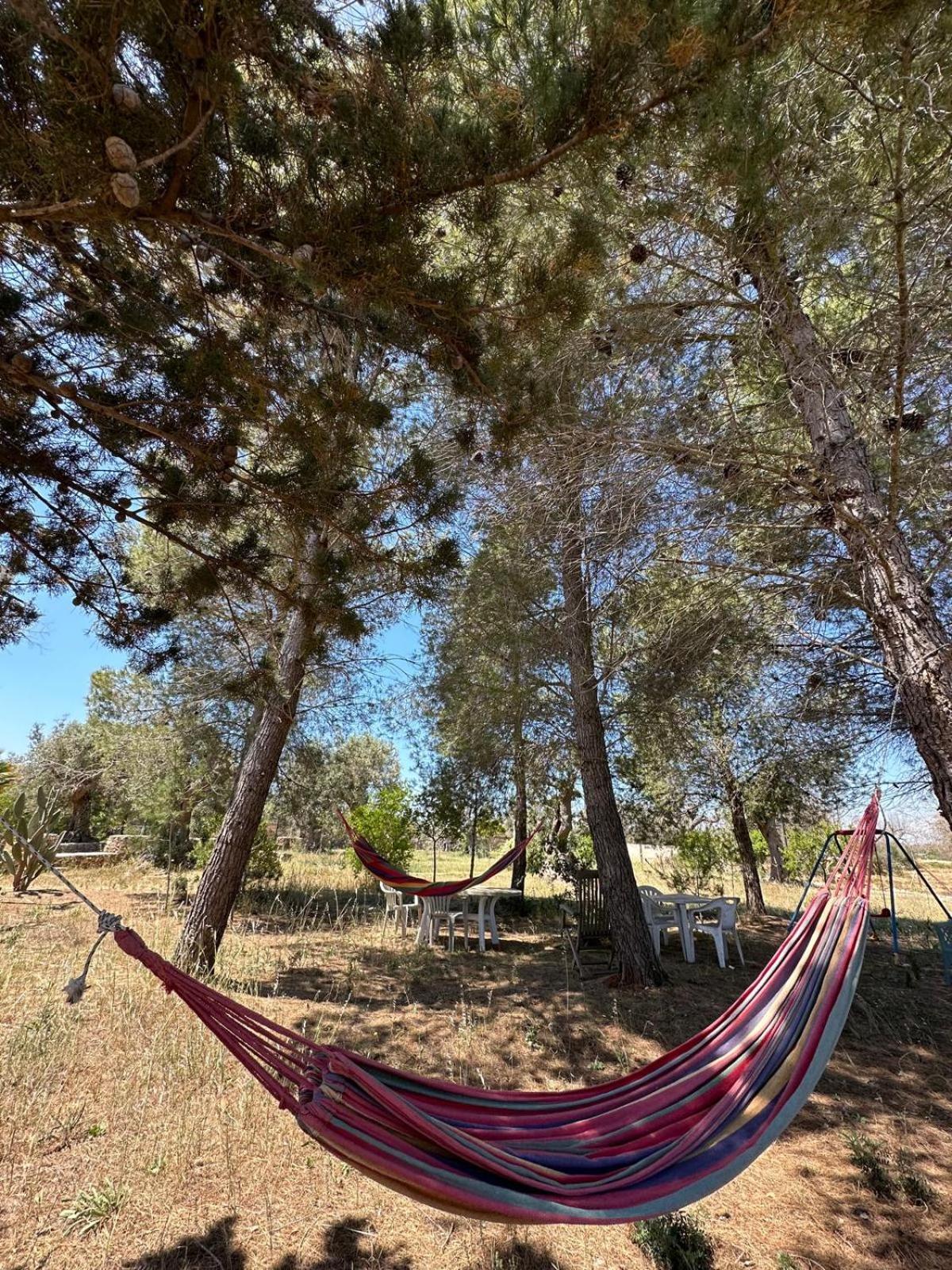 La Petraia Villa Magliano Buitenkant foto